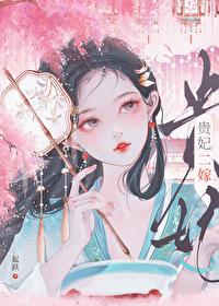 贵妃二嫁 晋江