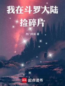 我在斗罗大陆捡碎片沐辰