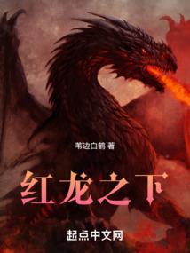 红龙之下TXT电子书