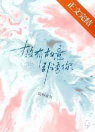 才没有故意引诱你免费阅读