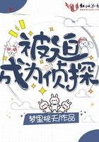 被迫成为侦探挂件的日子笔趣阁