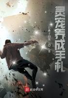 灵宠培养