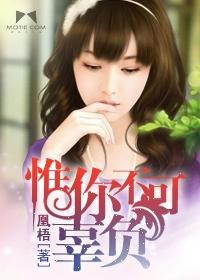 惟你不可辜负短剧百度