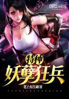 妖孽特种兵在都市叶洛