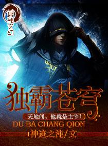 独尊苍穹9