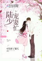 陆少宠妻超强势
