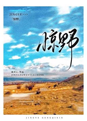 惊野by耿其心笔趣阁全文阅读