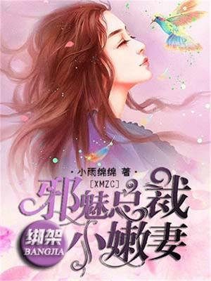 邪魅总裁的囚奴全文阅读