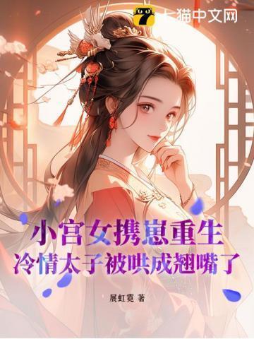 小宫女文