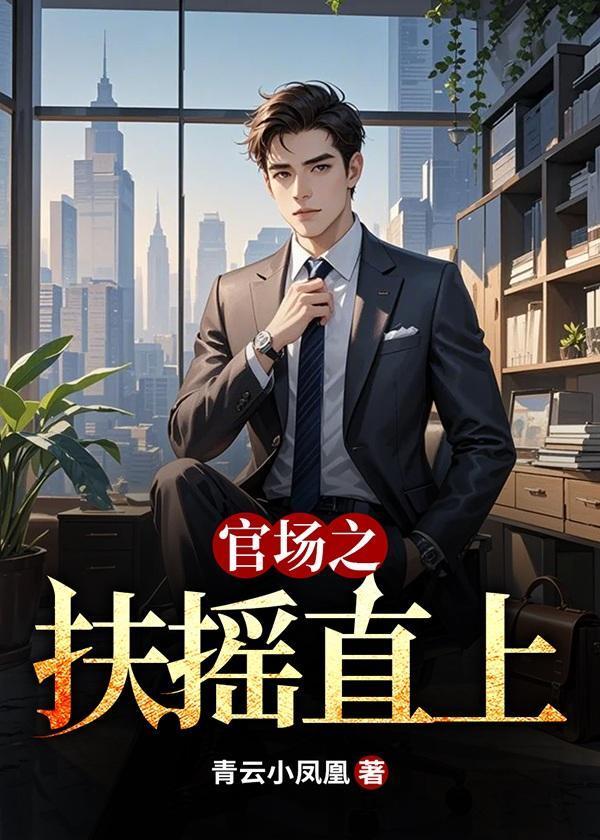 官场之扶摇直上小齐