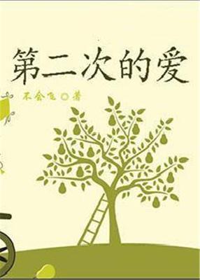 第二次的爱情
