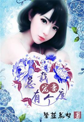 总裁宠妻有个度在线阅读