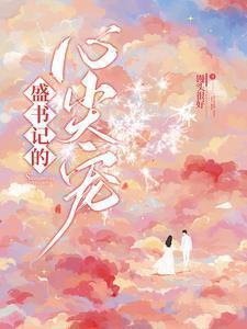 盛书记的心尖宠盛怀安