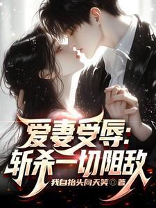 爱妻男主角