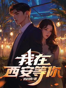我在西安等你简介