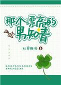 那个漂亮的男知青txt宝书
