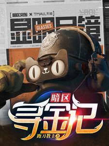 意大利寻金记2
