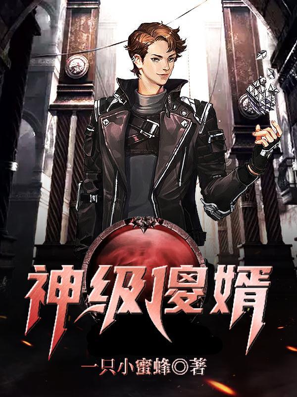 神级傻婿免费完整版