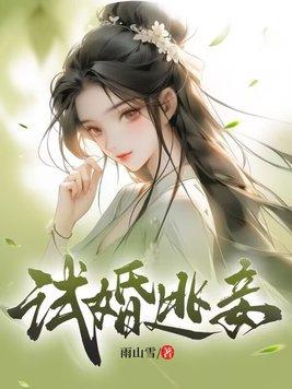 试婚逃妾晋江