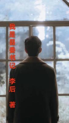 我是县委书记免费完整版
