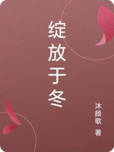 绽放于冬之国的红色蔷薇