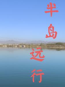 半岛