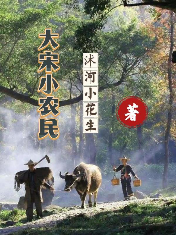 大宋小吏免费阅读