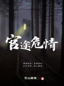 官途危情 超前更新