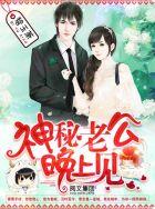 神秘老公晚上见无弹窗免费全文