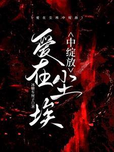 爱在尘埃中绽放一共多少章