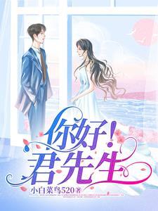 你好!君先生的暗王是谁