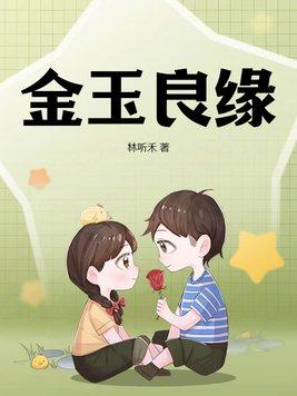 金玉良缘 电视剧