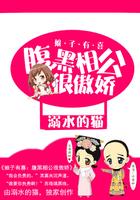 腹黑相公宠上枕免费阅读全文