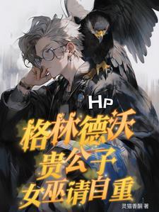 hp之格林德沃同人文