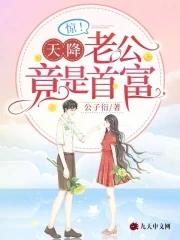 天降神秘老公