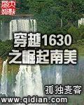 穿越1630之崛起南美洲