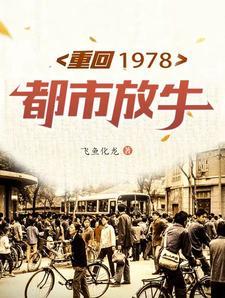 重回1978财富人生txt