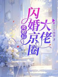 离婚后闪嫁首席