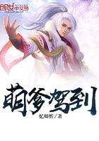 萌宝驾到爹地投降吧目录
