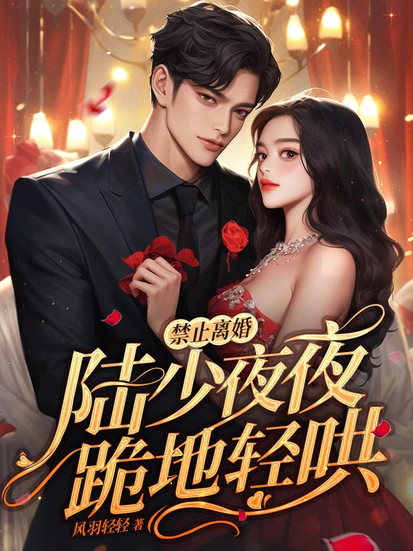 禁止离婚!陆少夜夜跪地轻哄(陆泽、乔熏