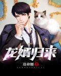 龙婿归来叶云州