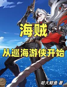 海贼从巡海游侠开始TXT