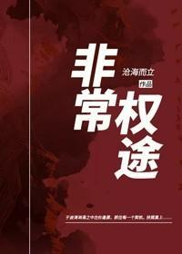 非常权途免费TXT电子书