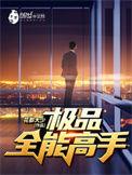 极品全能高手动画