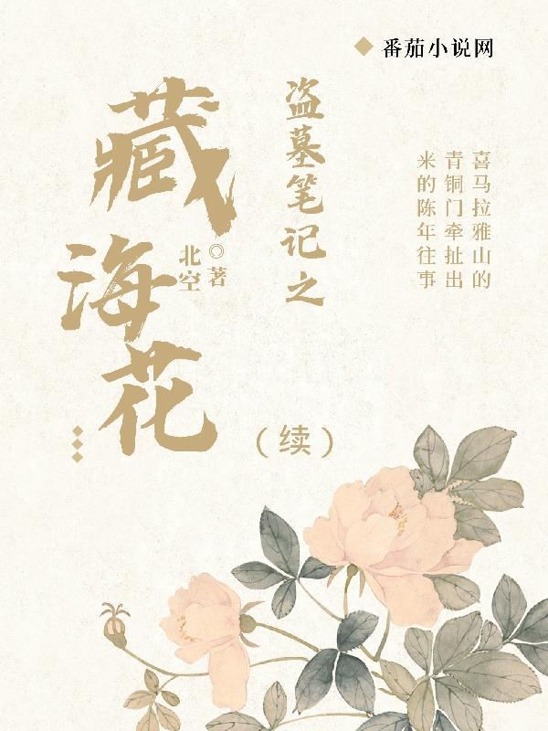 盗墓笔记藏海花讲了什么