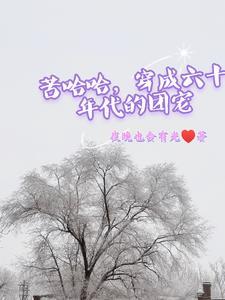 穿成六零年代怨妇