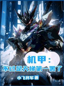 机甲的段位
