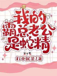 我的霸道老公2