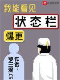 我能看见状态栏全本txt