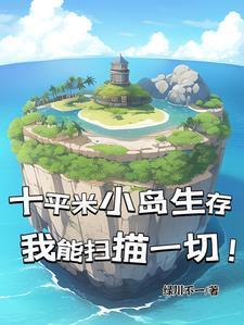 10平方公里的岛